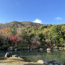 本堂前の庭園