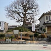 滋賀県の中山道で現存する唯一の一里塚