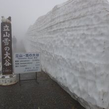雪の大谷　入口