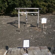 鳥居の下に「磯良恵比寿」うろこ状の亀裂が入った不思議な岩