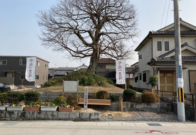 滋賀県の中山道で現存する唯一の一里塚