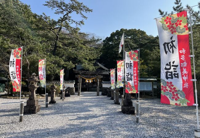 今年の初詣は和多都美神社