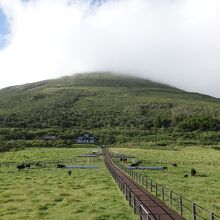 八丈富士の山頂方向　今日は曇っていました