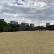 皇居に隣接する広い公園。門が３つもあって通り抜けられる