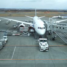 ＡＮＡの７８７