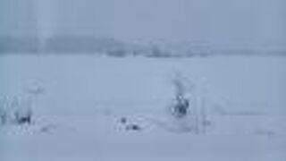 一面の雪景色の中を走ります