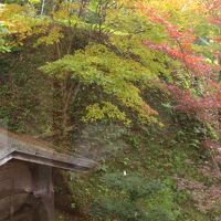 新館２階やまぶきからの眺め