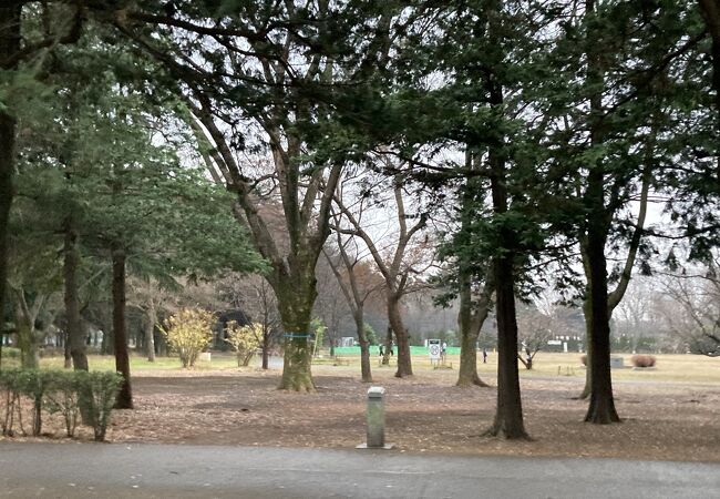 世田谷美術館がある