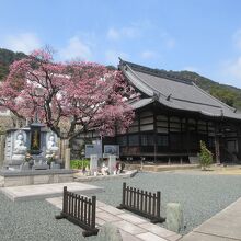 法宣寺