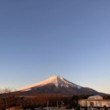 テラスガーデンから見える朝日を浴びる富士山