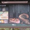 特別天然記念物生きたオオサンショウウオにお目にかかれる