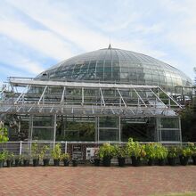 ガラスドームの温室