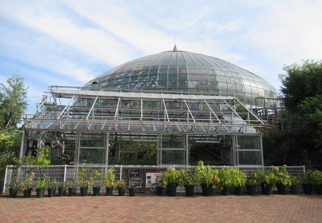 姫路市立手柄山温室植物園