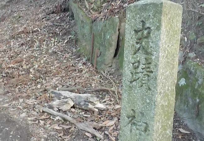 山城の跡である「神籠石」の名付けられたのは高良山のものが最初だそうです。