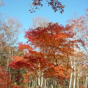 素晴らしい紅葉風景