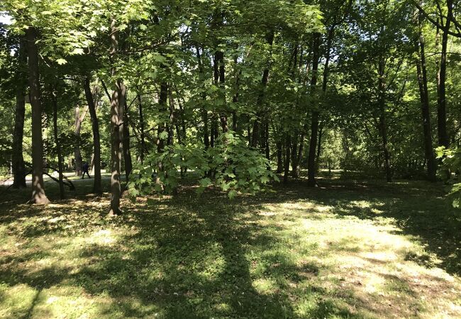 国立美術館や軍事博物館の南側に広がる広大な公園