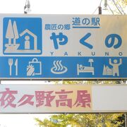 開駅当初は大変賑わっていて、町興しの好例とまで言われていたそうですが、交通事情の変化や道の駅過多の時代の変化により、今やすっかり寂しい道の駅となってしまいました