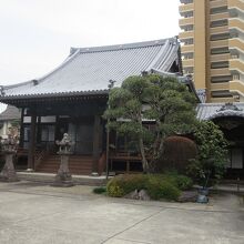 宗安寺本殿です。