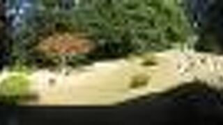 半日は滞在できる様な充実ぶりです。