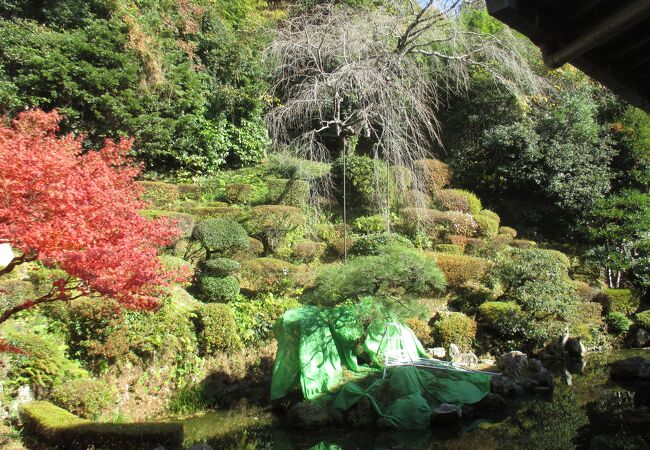 医光寺雪舟庭園