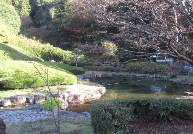 龍雲寺の石州瓦が景色を締めていました。