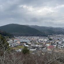 尾関山公園からの景色。