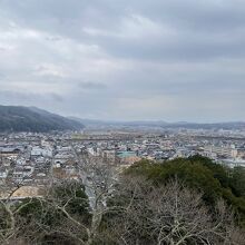 尾関山公園からの景色。