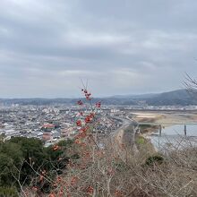 尾関山公園からの景色。