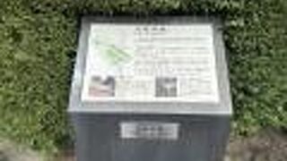 アメリカ山公園の中