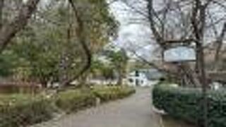 根岸競馬記念公苑内にある坂道