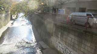 桜以外も楽しめます