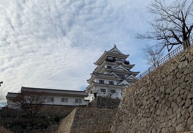 10万石なのに巨大な城