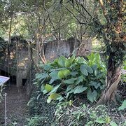 台北市立動物園