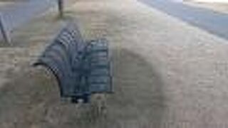 公園内の木々は、冬枯れの時期でした