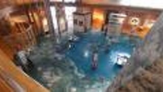 無料エリアと有料エリアがある記念館