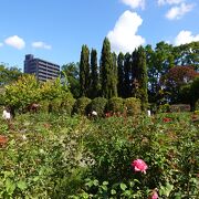 旧徳島藩主の居城跡に造られた広大な公園