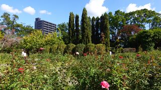 旧徳島藩主の居城跡に造られた広大な公園