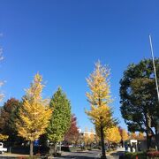 久喜菖蒲公園