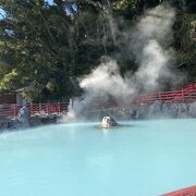 見どころたくさん、飲む温泉、手足の湯