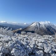 別府湾を一望、雪景色の中を散策