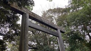 力強さが溢れています