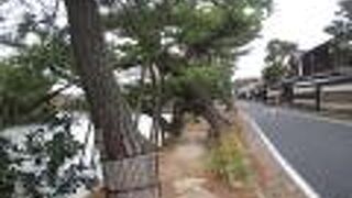 松江の町観光のメインの場所です。