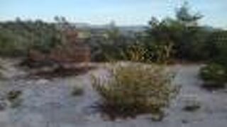 一畑山薬師寺に来たらいっしょに