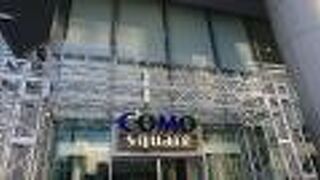 休日朝は、穏やかな空気が流れていました