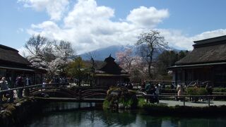 桜と富士山を愛でられる場所