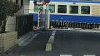 頑張っています。