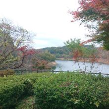 席からダムの湖面が望めました。