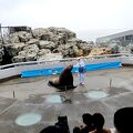 水族館とお猿さん