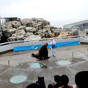 水族館とお猿さん