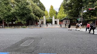 本郷の東京大学